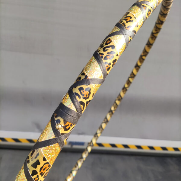 Fitnesshoop | Golden Leo – Bild 4